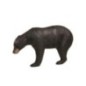 21350 BLACK BEAR DELTA MCKENZIE