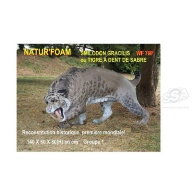 SMILODON GRACILIS NATUR FOAM