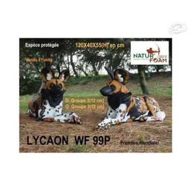 NATUR FOAM LYCAON WF 99P