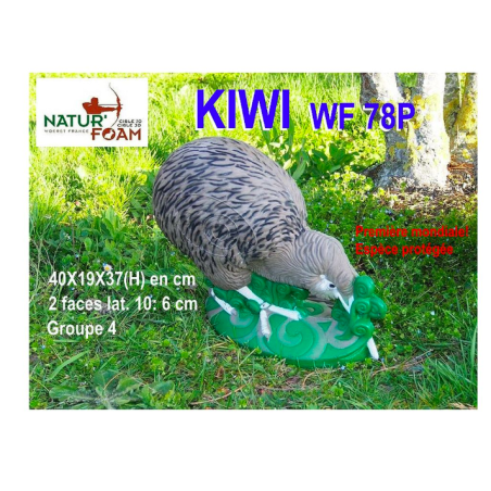 NATUR FOAM KIWI