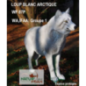 NATUR FOAM LOUP BLANC ARCTIQUE DEBOUT