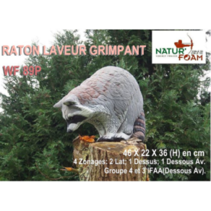 NATUR FOAM RATON LAVEUR GRIMPANT