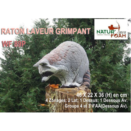 NATUR FOAM RATON LAVEUR GRIMPANT