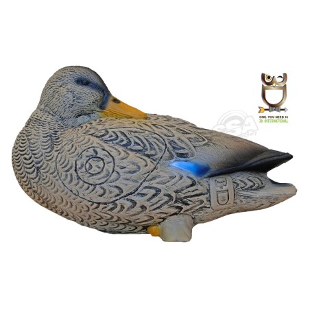 3D INTERNATIONAL 3D TARGET DUCK