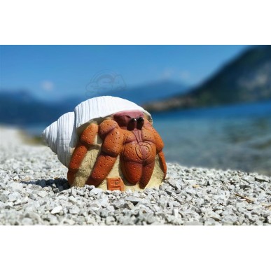 3D INTERNATIONAL 3D HERMIT CRAB