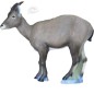 SRT TARGETS 3-D ROCKY MOUNTAIN SHEEP FEMALE - GROUP 1 - L97CM H90CM