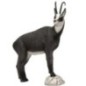 CHAMOIS WINTER COLOR - GROUP 2 - L90cm H86cm SRT TARGETS