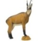 CHAMOIS SUMMER COLOR - GROUP 2 - L90cm H86cm SRT TARGETS