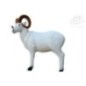 DALL SHEEP - GROUP 1 - L97cm H90cm SRT TARGETS