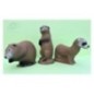 3DI FAMILYPACK MINK-MUSKUSRAT-PRAIRIE DOG 3D INTERNATIONAL