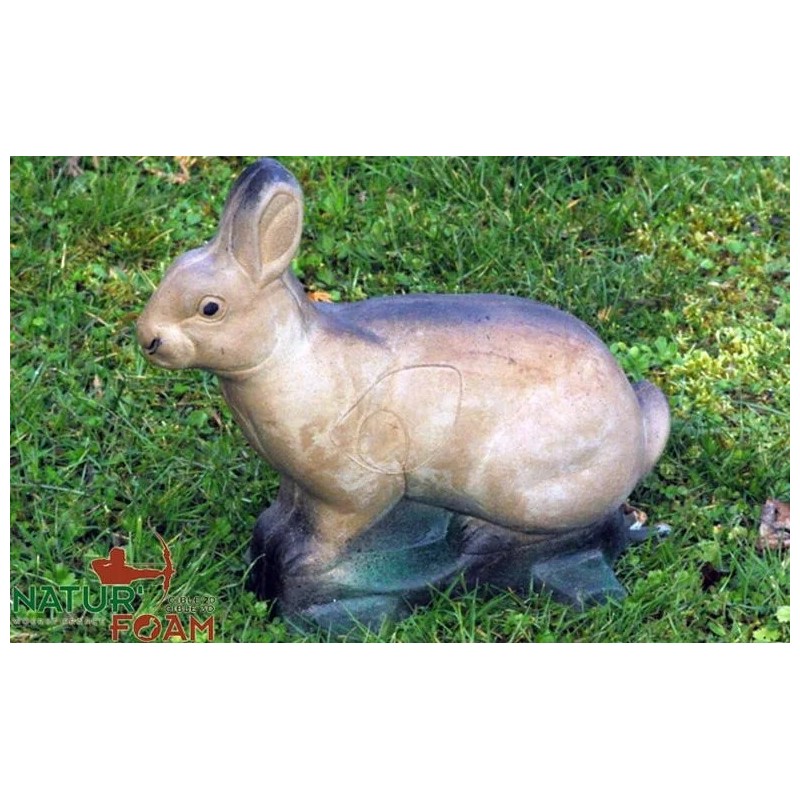 LAPIN - ASSIS 2 NATUR FOAM