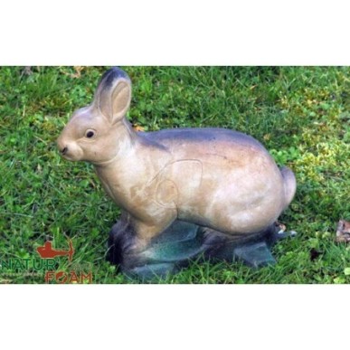 LAPIN - ASSIS 2 NATUR FOAM