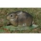 LAPIN - GITE NATUR FOAM