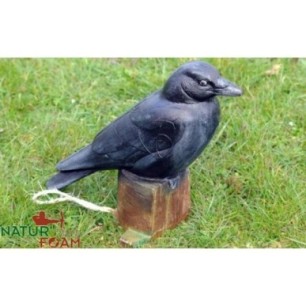 CORBEAU NATUR FOAM