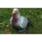 PIGEON NATUR FOAM