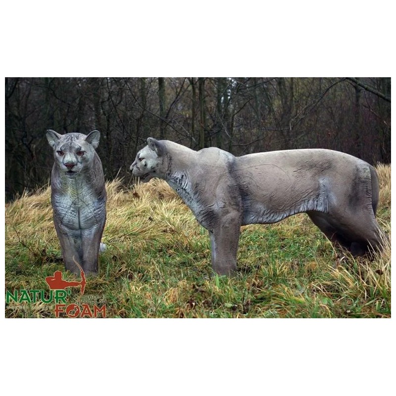 PUMA - DEBOUT NATUR FOAM