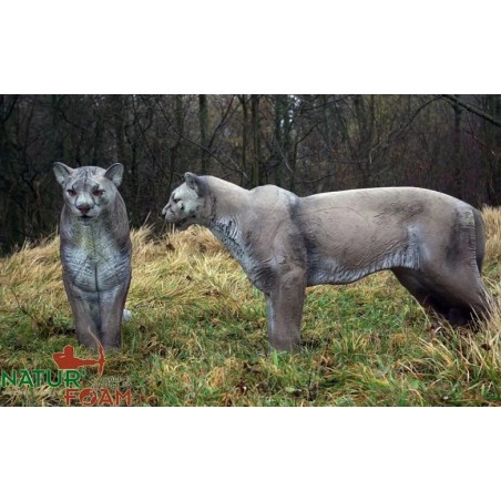 PUMA - DEBOUT NATUR FOAM