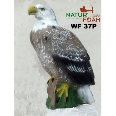 AIGLE A TETE BLANCHE NATUR FOAM