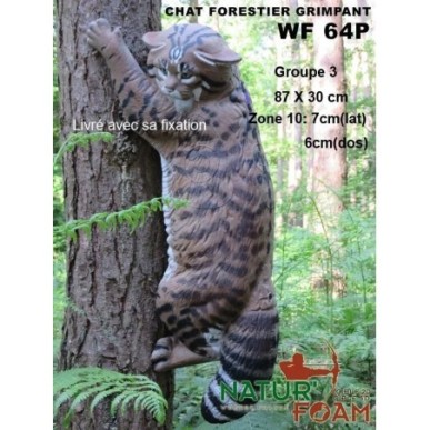 CHAT FORESTIER - GRIMPANT NATUR FOAM