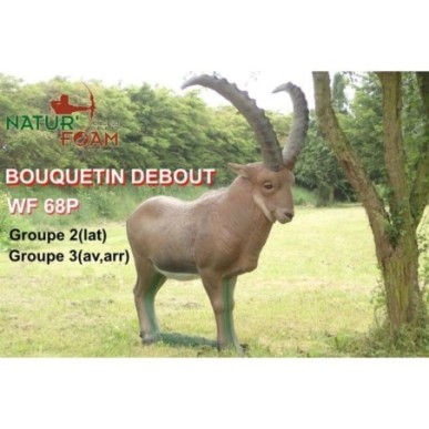 BOUQUETIN - DEBOUT NATUR FOAM