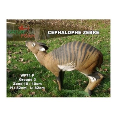 CEPHALOPHE ZEBRE NATUR FOAM