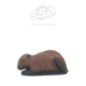 RAGONDINS / NUTRIA - DIM:28x57x24CM  GROUP 4 WILD LIFE